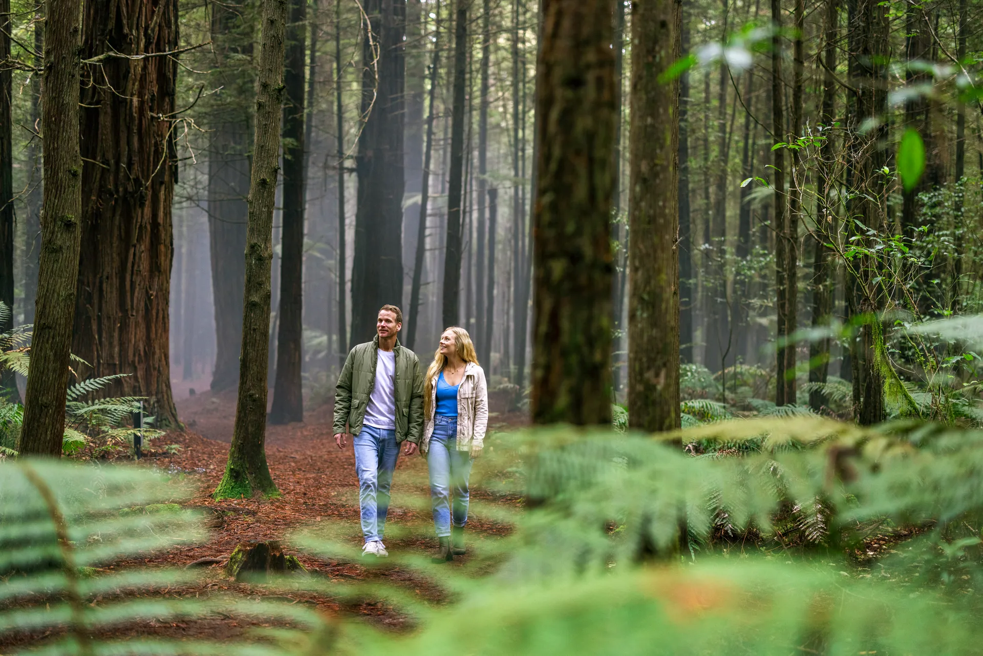 hiking forest walk